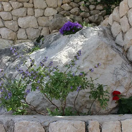 Lianto Διαμέρισμα Drasnice